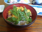 Caccäɓ̖@炭̓eʐ^1