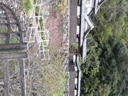 ܂݂񂳂̂쏬̓eʐ^1