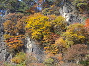 ΂΂񂳂݂̂܂㌧R̓eʐ^1