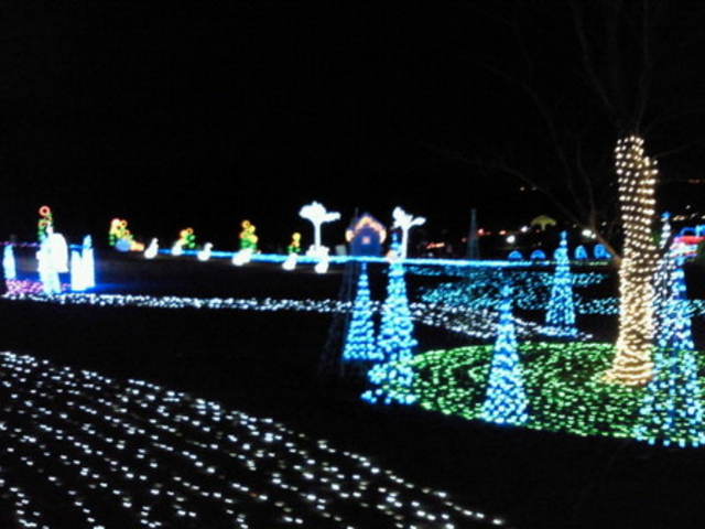 �����h�C�c��