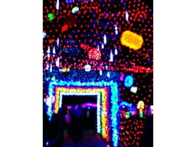 �����h�C�c��