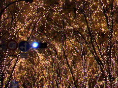 tʂETʂ̃PL؂̎ʐ^1