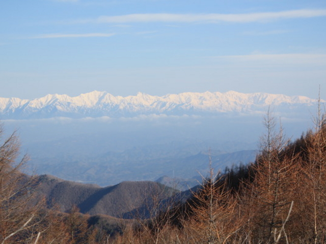 {ԉ@zeʔV̕Ἐeʐ^1