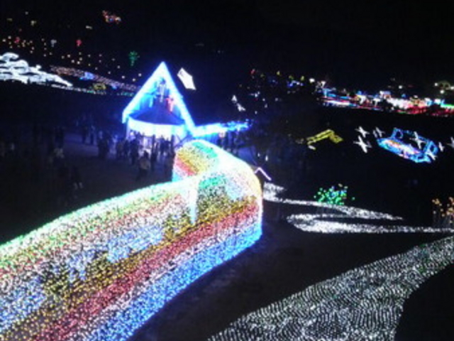�����h�C�c��