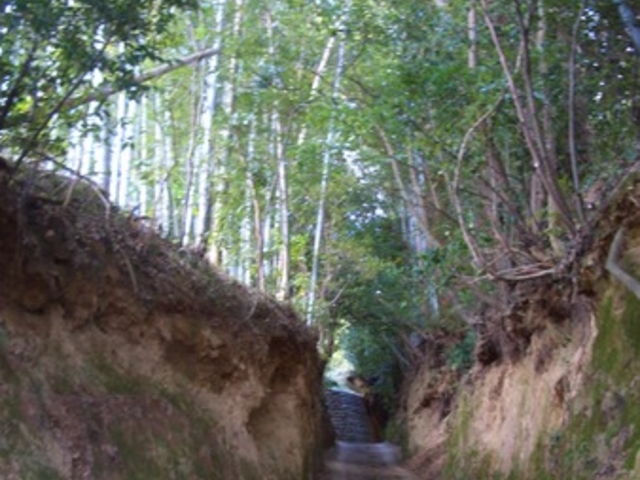 �L�����R����̋ߒ��J���̓��e�ʐ^1