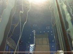 �I�A�V�X�Q�P�̎ʐ^1