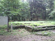 ���傤����񂳂�̏��R��Ղ̓��e�ʐ^1