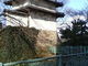 しょうちゃんさんの高崎城址への投稿写真3