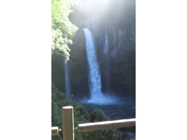 ������V����