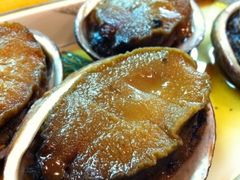 anix̏{̖낳ւ̓eʐ^1