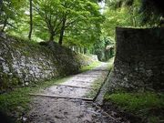 ΂񂳂̊⑺Ղ̓eʐ^1