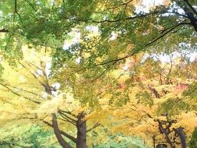 �k��C�`���E����