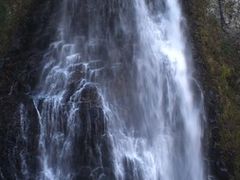 [񂳂̑PܘY̑ւ̓eʐ^1