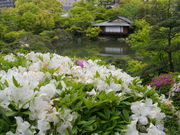 Ƃ̂P̑ỹccW̓eʐ^1