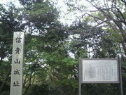 傤񂳂̐MMRՂ̓eʐ^1