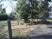 傤񂳂̍v隬̓eʐ^1