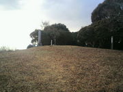 傤񂳂̎OxՂ̓eʐ^1