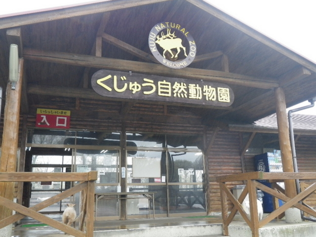 �����イ���R������