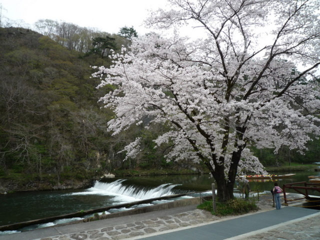 �Ǖ@�k�E�M����