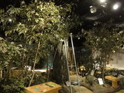 Ђ낳̃GR~[WAփP̓eʐ^1