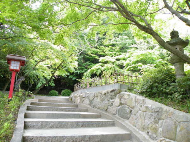 �{�n�Ԏ��R����