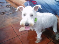 �펵����̏��l���򑫓��@�ق��Ƃӂ��ƂP�O�T�ւ̓��e�ʐ^1