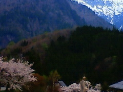 Ȃ񂳂̑􂢂̓ւ̓eʐ^1