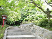 maneki̋{nԎR̓eʐ^1