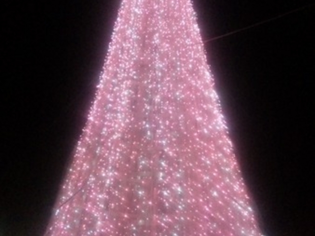 �t���[�����e�{��