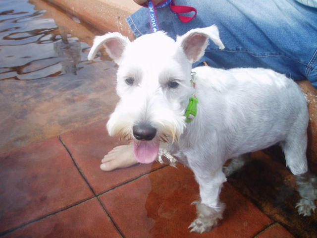 ���l���򑫓��@�ق��Ƃӂ��ƂP�O�T