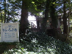 ��Ȃ���̂��炢��̂��˂ւ̓��e�ʐ^1