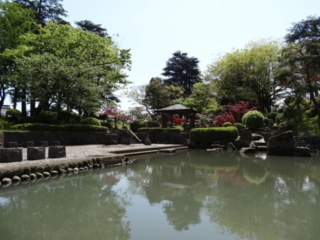 ����V���D