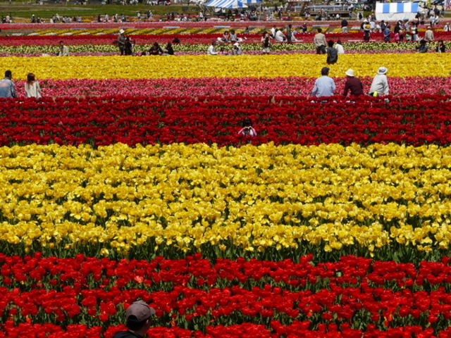 l񂳂̂Ƃ`[bv܂̓eʐ^1