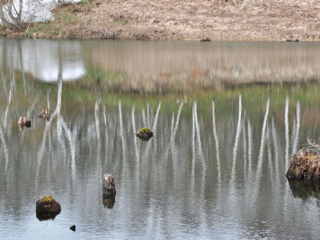 cocott����̓V�r�̓��e�ʐ^1