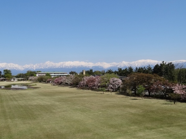 �x�R�������A����