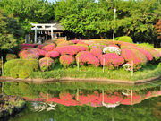 cocott̐|א_Ђ̂ڂ̓eʐ^1