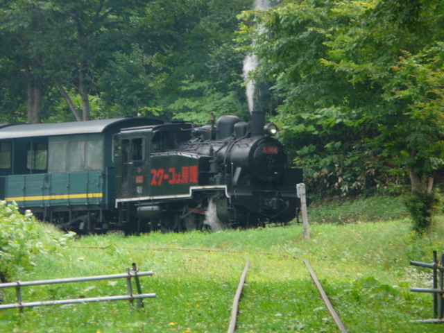 �O�}�S���L�O��