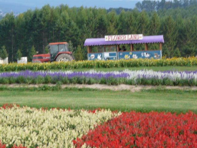 �t�����[�����h���݂ӂ��