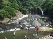 ݂݂񂳂̗̑i啪dj̓eʐ^1