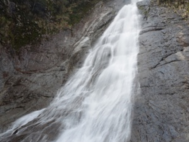 _ChKXg̊ωifkωꌧRj̓eʐ^1