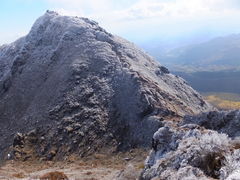 ߂񂳂̗Rzxւ̓eʐ^1