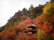 ���ǁ[����̋����@�̓��e�ʐ^1