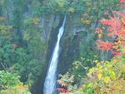 �_�C�������h�K�X�g����̐��ŉ��̑�̓��e�ʐ^1