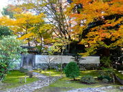 ǁ[̖@펛̍gt̓eʐ^1