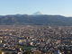 フーセンの寅さんの愛宕山こどもの国の投稿写真1