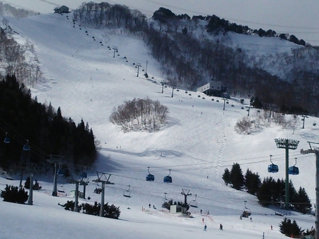 �c��X�L�[��