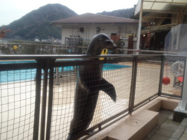 ���킵�܃}�����p�[�N