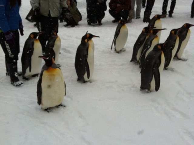 ���R������