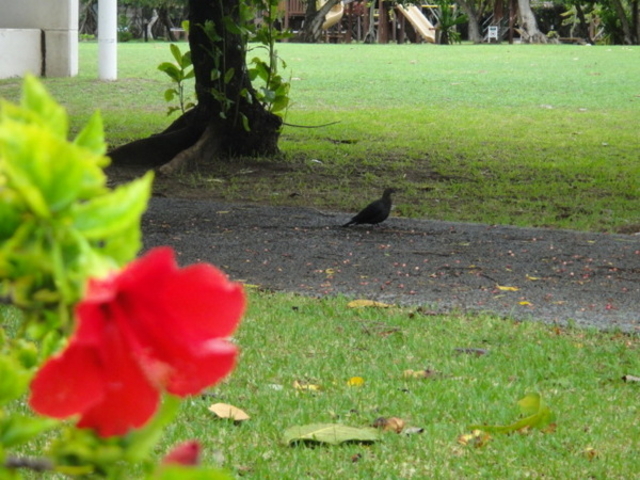 ��_�R����