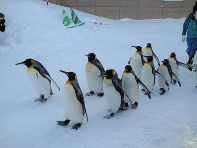 ���R������